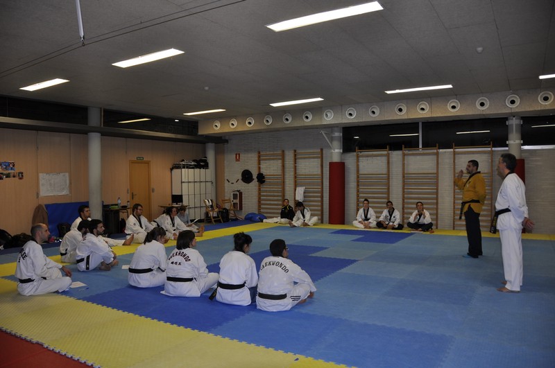 SEMINARIO POOMSAE Y FREESTYLE 2015